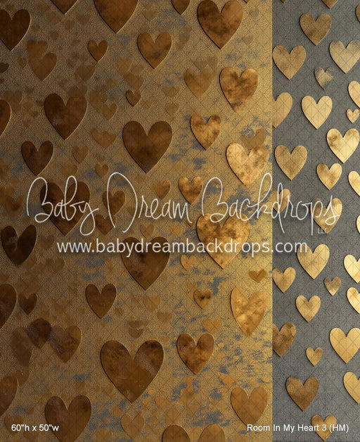 Room In My Heart 3 (HM)