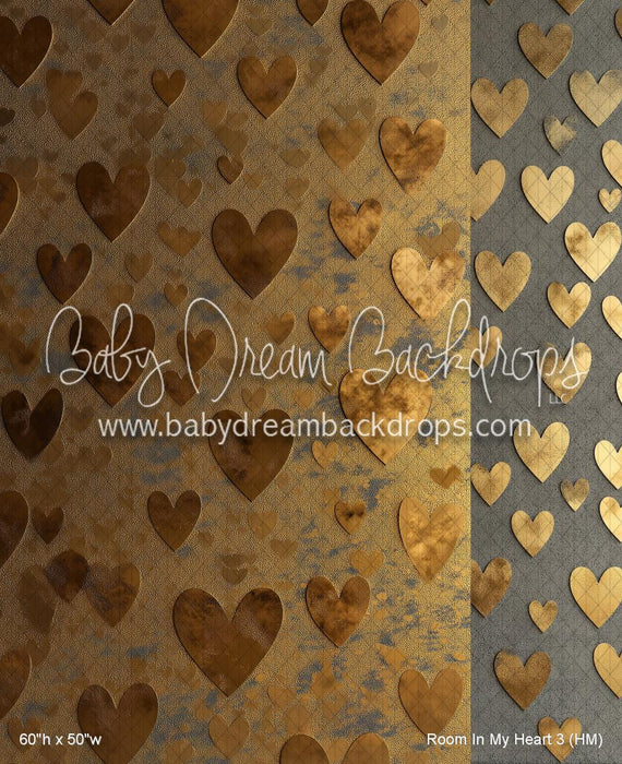 Room In My Heart 3 (HM)