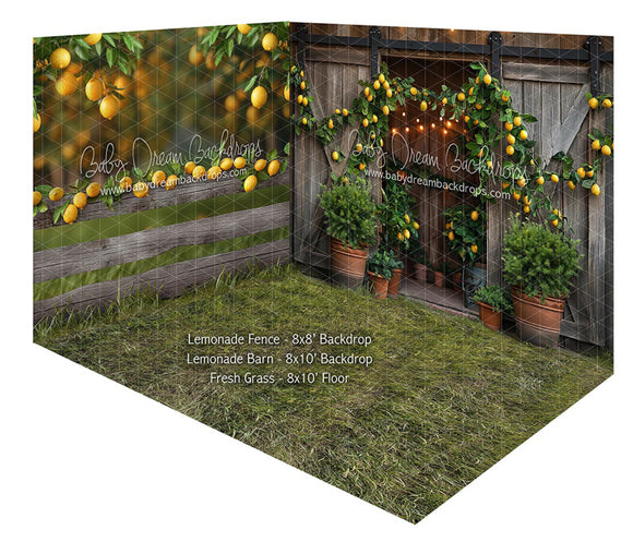 Room Lemonade Fence + Lemonade Barn + Fresh Grass