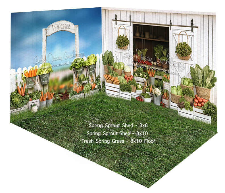 Room Spring Sprout Fence + Shed + Fresh Spring Grass