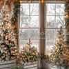 Rustic Charmer Christmas Window (JA)