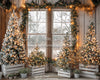 Rustic Charmer Christmas Window (JA)