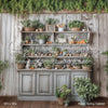 Rustic Spring Cabinet (WM)