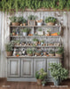 Rustic Spring Cabinet (WM)