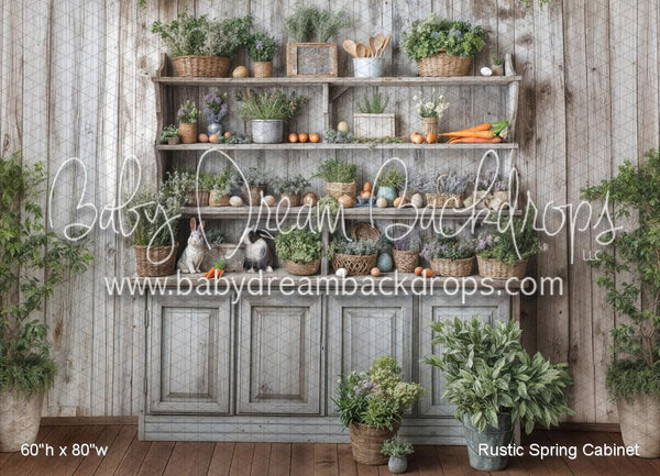 Rustic Spring Cabinet (WM)