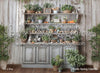 Rustic Spring Cabinet (WM)