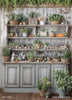 Rustic Spring Cabinet (WM)