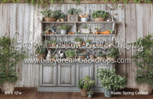Rustic Spring Cabinet (WM)