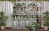 Rustic Spring Cabinet (WM)