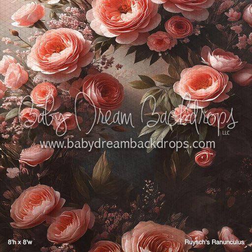 Ruysch's Ranunculus (BM)