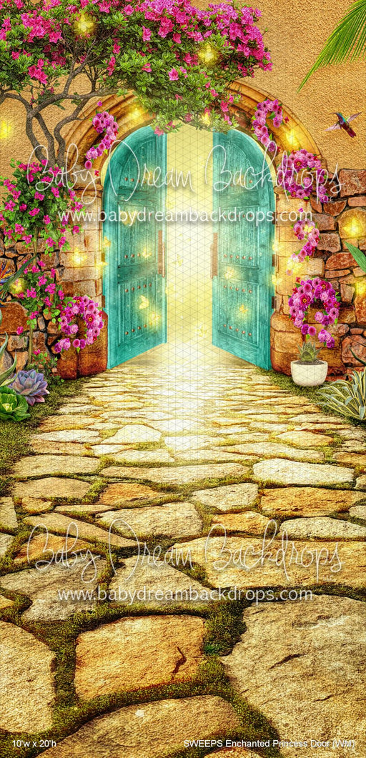 SWEEPS Enchanted Princess Door (WM)