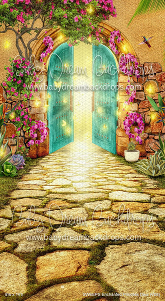 X Drop SWEEPS Enchanted Princess Door (WM)