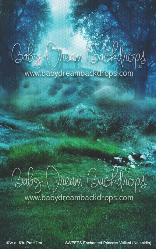 SWEEPS Enchanted Princess Valiant (No spirits) (WM)