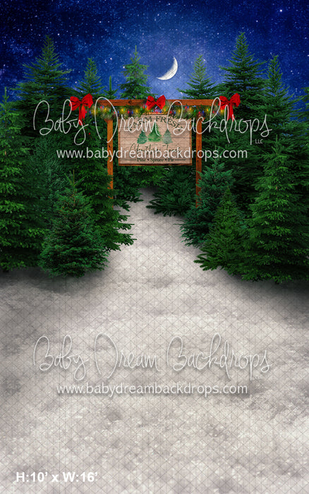 SWEEPS Farm Fresh Trees (No Lights) (WM)