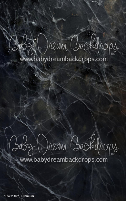 SWEEPS Web Wall (WM)