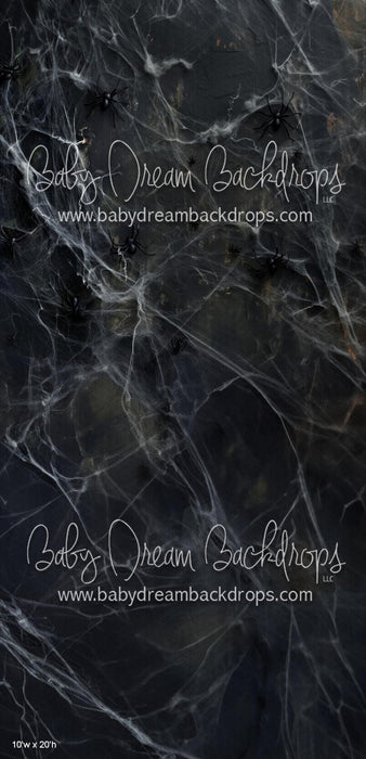 SWEEPS Web Wall (WM)