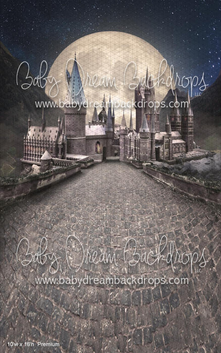 SWEEPS Wizard's Moon (WM)