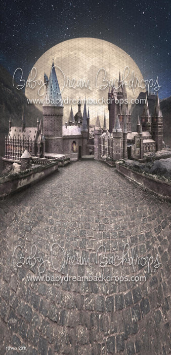 SWEEPS Wizard's Moon (WM)