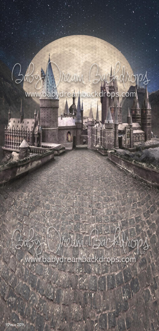 SWEEPS Wizard's Moon (WM)