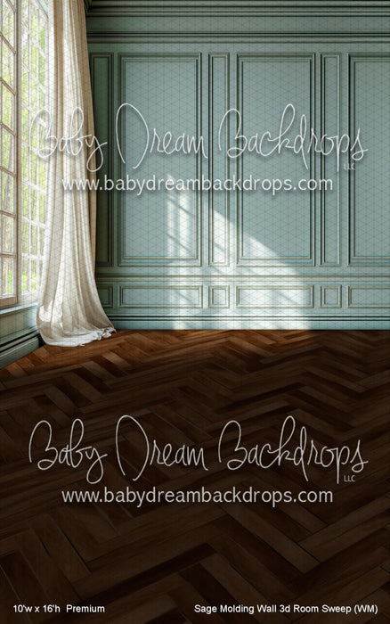 Sage Molding Wall 3d Room Sweep (WM)