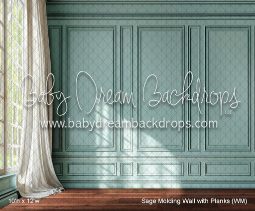 Sage Molding Wall with Planks (WM)