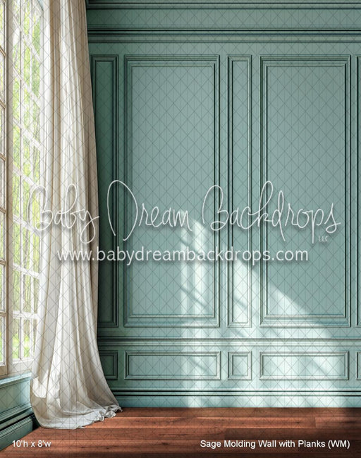 Sage Molding Wall with Planks (WM)