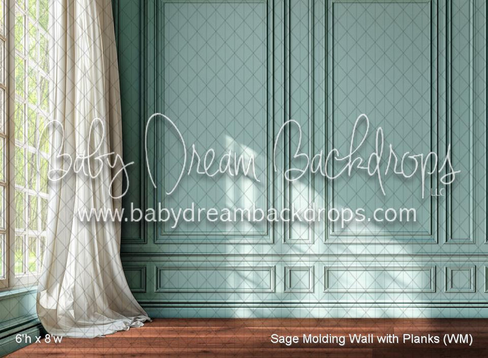 Sage Molding Wall with Planks (WM)