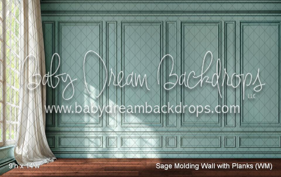 Sage Molding Wall with Planks (WM)