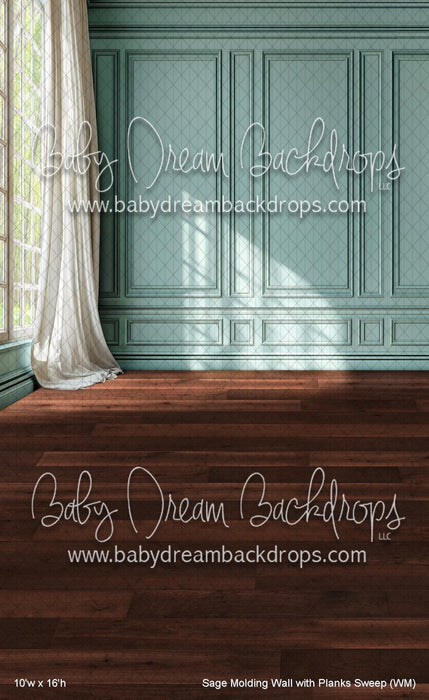 Sage Molding Wall with Planks Sweep (WM)