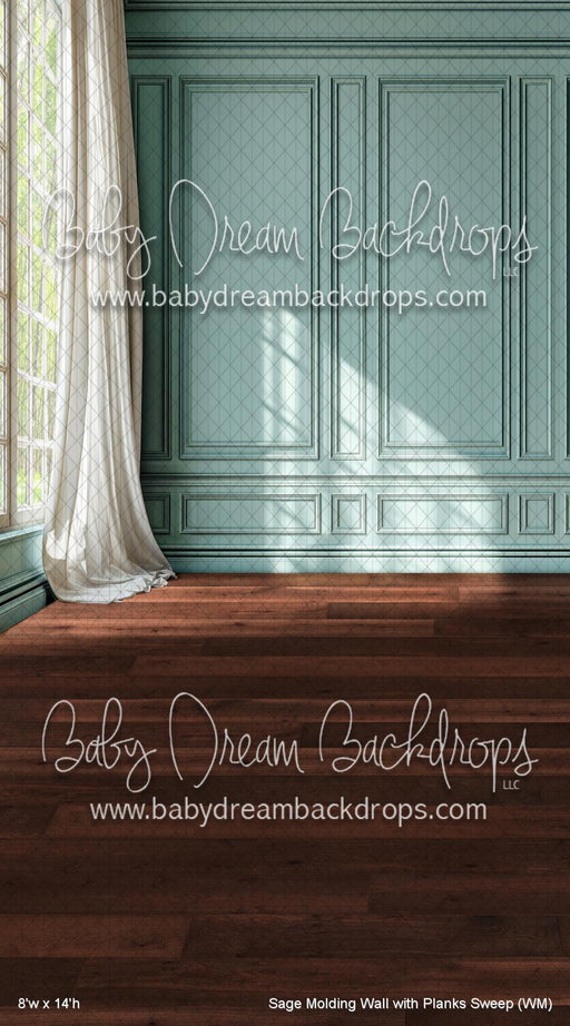 Sage Molding Wall with Planks Sweep (WM)