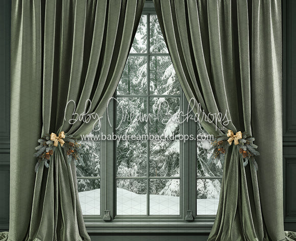 Sage's Christmas Window (JA)