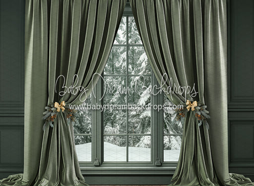 Sage's Christmas Window (JA)