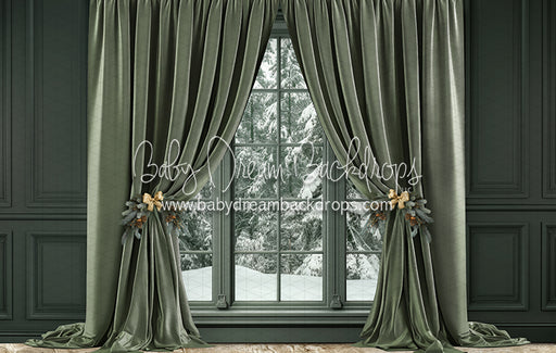 Sage's Christmas Window (JA)