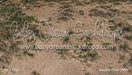 Sandlot Fabric Floor (WM)