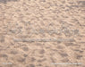 Sandy Feet Christmas Floor (MD)