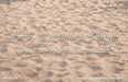 Sandy Feet Christmas Floor (MD)