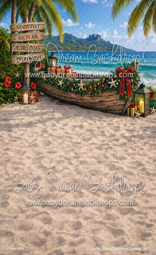 Sandy Feet Christmas Sweep (MD)