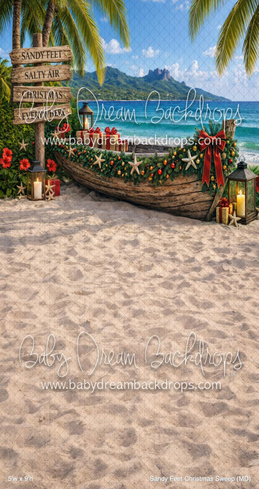 Sandy Feet Christmas Sweep (MD)