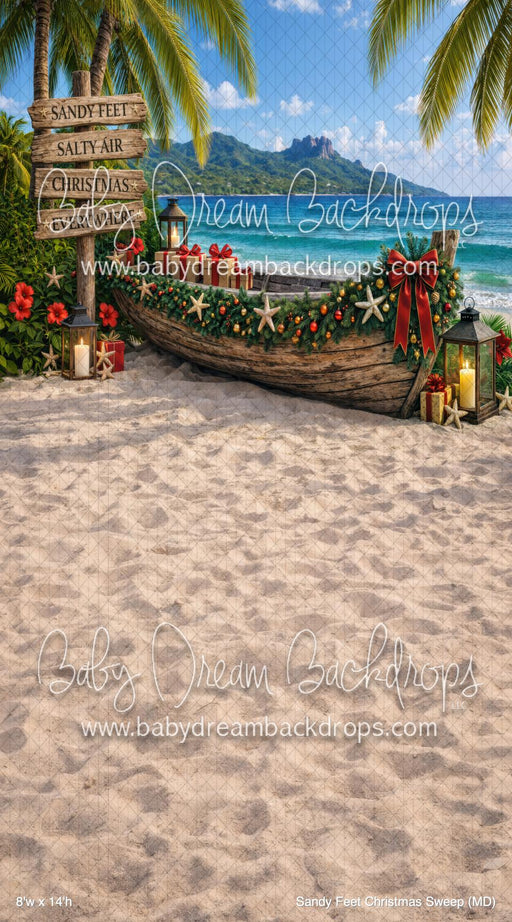 Sandy Feet Christmas Sweep (MD)