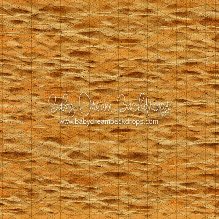 Sandy Toes at Sunset (CC)