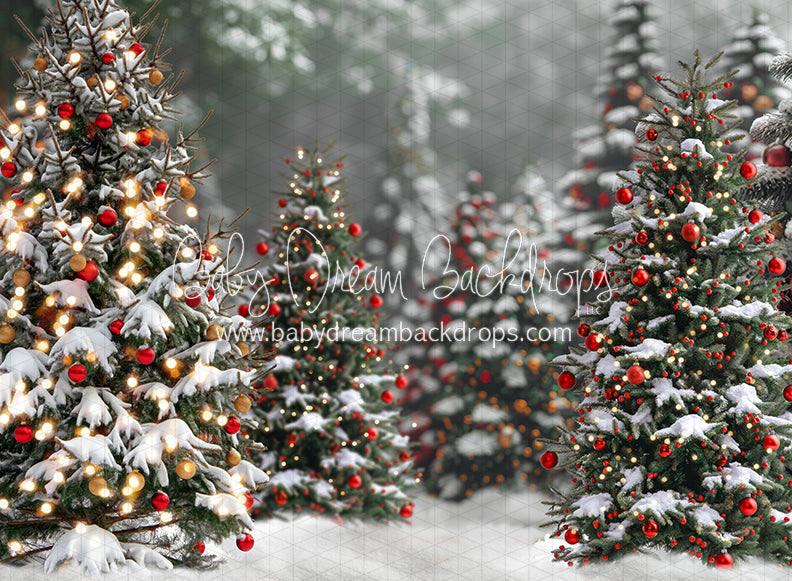 Santa Village Forest (JA)