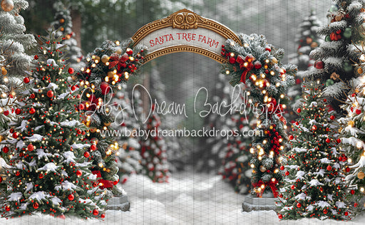 Santa Village Tree Farm (JA)