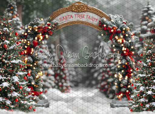 Santa Village Tree Farm (JA)