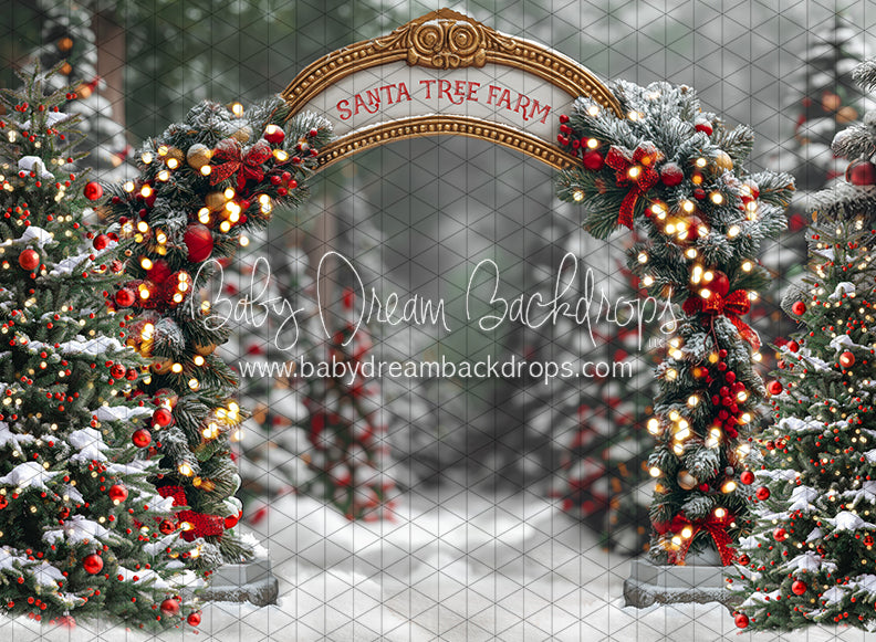 Santa Village Tree Farm (JA)