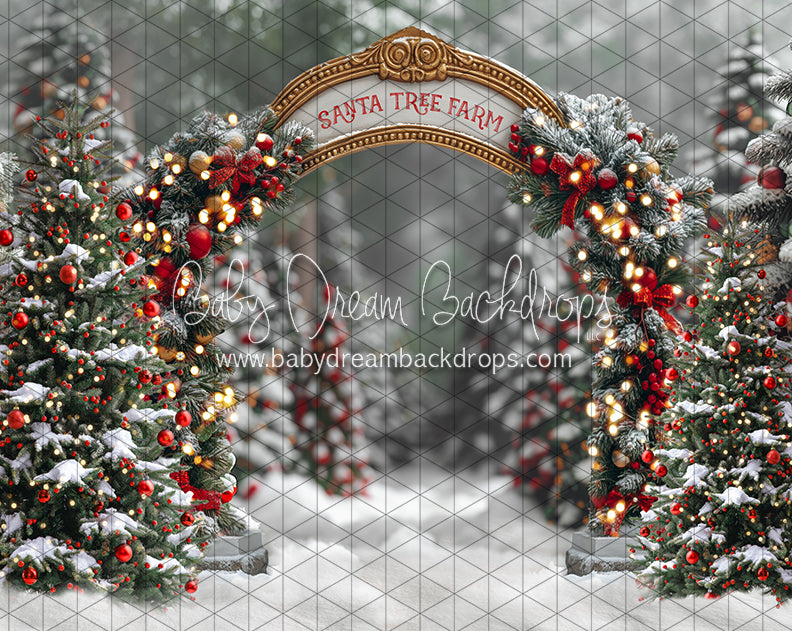 Santa Village Tree Farm (JA)