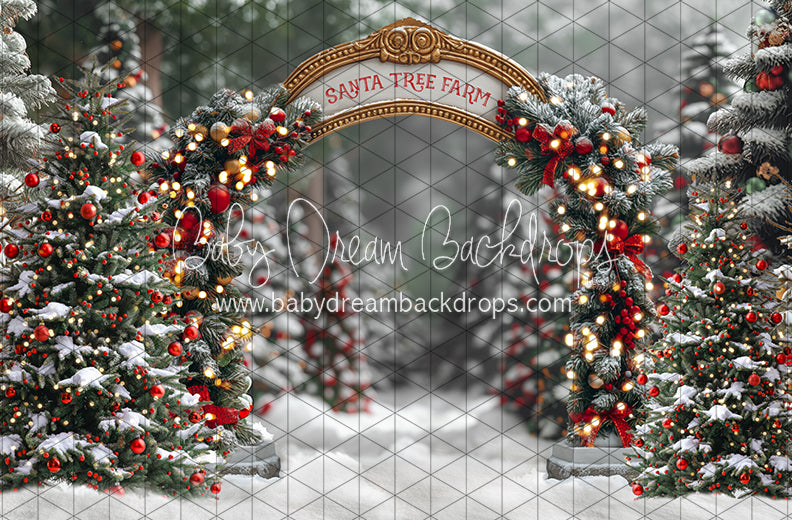 Santa Village Tree Farm (JA)