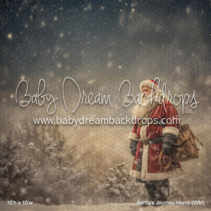 Santa's Journey Home (WM)