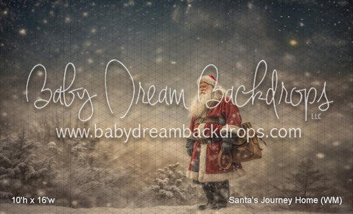 Santa's Journey Home (WM)