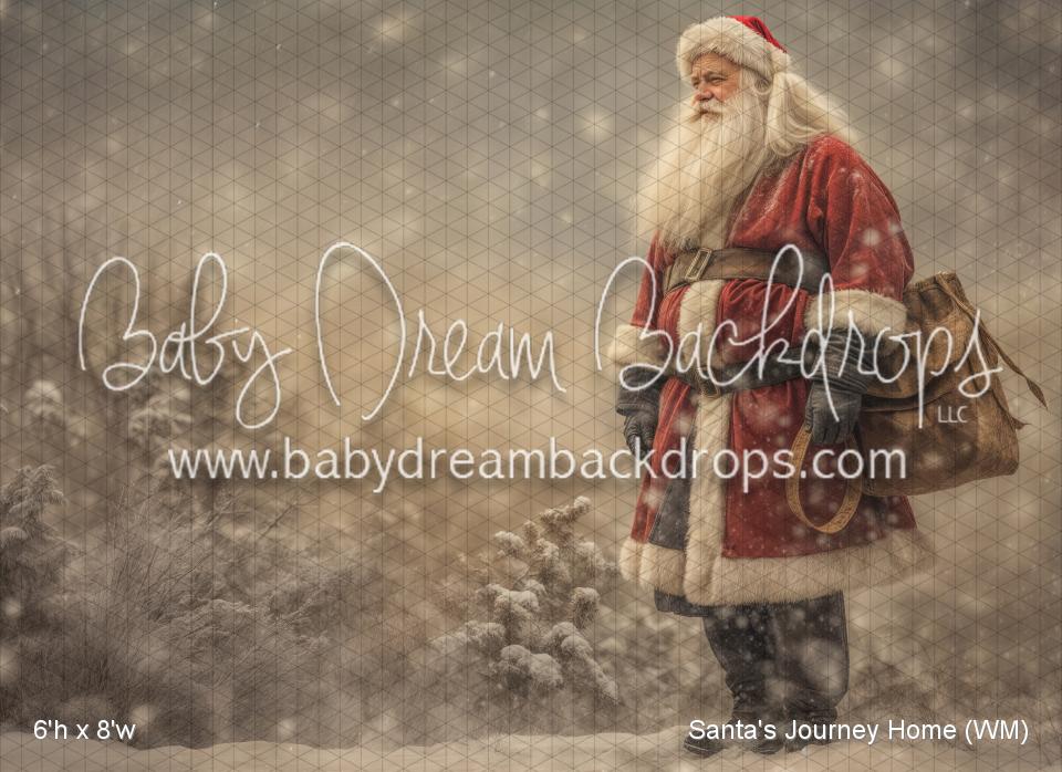 Santa's Journey Home (WM)