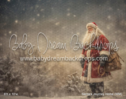 Santa's Journey Home (WM)